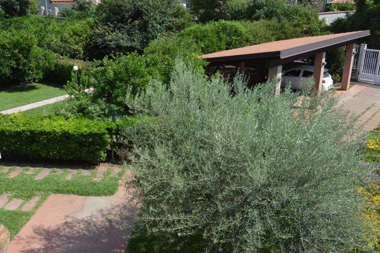 La Casetta Nel Verde - Palermo — Photos 3